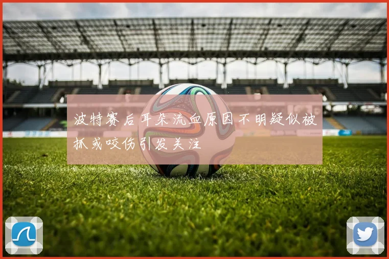 波特赛后耳朵流血原因不明疑似被抓或咬伤引发关注